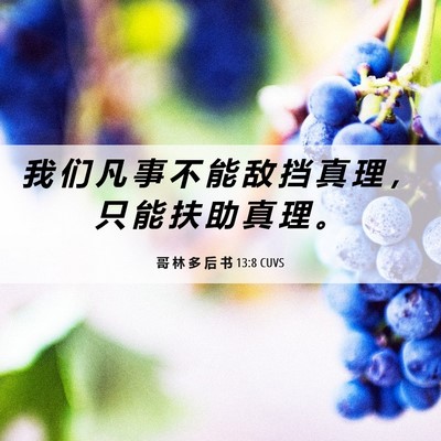 Picture 06 - 哥 林 多 后 书 13:8 CUVS - 我 们 凡 事 不 能 敌 挡 真 理 ， 只 - Bible Verse Picture
