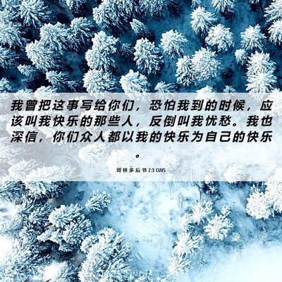 Picture 06 - 哥 林 多 后 书 2:3 CUVS - 我 曾 把 这 事 写 给 你 们 ， 恐 怕 - Bible Verse Picture
