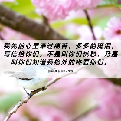Picture 06 - 哥 林 多 后 书 2:4 CUVS - 我 先 前 心 里 难 过 痛 苦 ， 多 多 - Bible Verse Picture
