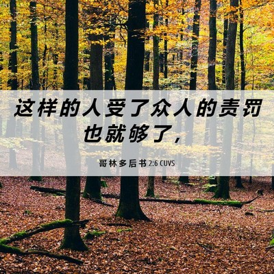 Picture 06 - 哥 林 多 后 书 2:6 CUVS - 这 样 的 人 受 了 众 人 的 责 罚 也 - Bible Verse Picture
