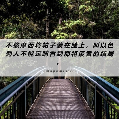 Picture 06 - 哥 林 多 后 书 3:13 CUVS - 不 像 摩 西 将 帕 子 蒙 在 脸 上 ， - Bible Verse Picture