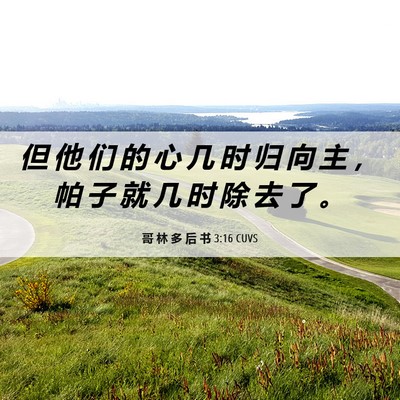 Picture 06 - 哥 林 多 后 书 3:16 CUVS - 但 他 们 的 心 几 时 归 向 主 ， 帕 - Bible Verse Picture
