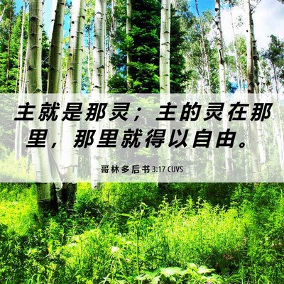 Picture 06 - 哥 林 多 后 书 3:17 CUVS - 主 就 是 那 灵 ； 主 的 灵 在 那 里 - Bible Verse Picture