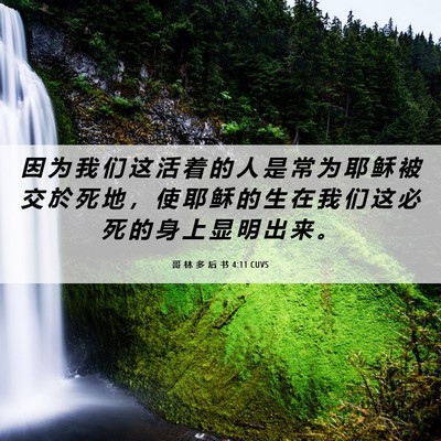 Picture 06 - 哥 林 多 后 书 4:11 CUVS - 因 为 我 们 这 活 着 的 人 是 常 为 - Bible Verse Picture