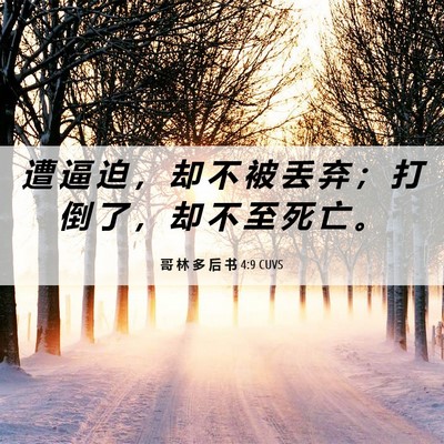 Picture 06 - 哥 林 多 后 书 4:9 CUVS - 遭 逼 迫 ， 却 不 被 丢 弃 ； 打 倒 - Bible Verse Picture