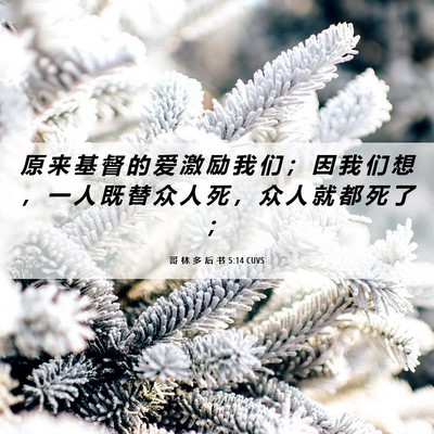 Picture 06 - 哥 林 多 后 书 5:14 CUVS - 原 来 基 督 的 爱 激 励 我 们 ； 因 - Bible Verse Picture