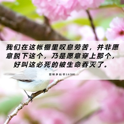 Picture 06 - 哥 林 多 后 书 5:4 CUVS - 我 们 在 这 帐 棚 里 叹 息 劳 苦 ， - Bible Verse Picture