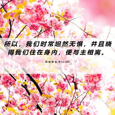 Picture 06 - 哥 林 多 后 书 5:6 CUVS - 所 以 ， 我 们 时 常 坦 然 无 惧 ， - Bible Verse Picture
