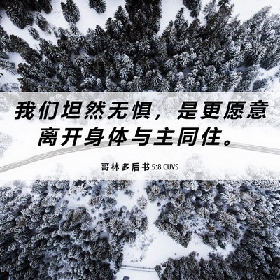 Picture 06 - 哥 林 多 后 书 5:8 CUVS - 我 们 坦 然 无 惧 ， 是 更 愿 意 离 - Bible Verse Picture