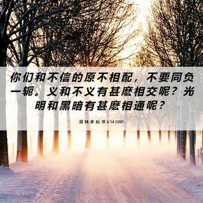 Picture 06 - 哥 林 多 后 书 6:14 CUVS - 你 们 和 不 信 的 原 不 相 配 ， 不 - Bible Verse Picture