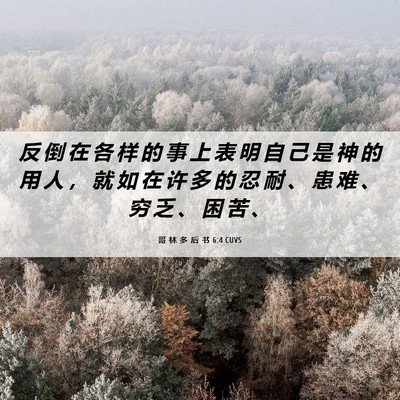 Picture 06 - 哥 林 多 后 书 6:4 CUVS - 反 倒 在 各 样 的 事 上 表 明 自 己 - Bible Verse Picture