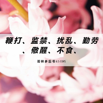 Picture 06 - 哥 林 多 后 书 6:5 CUVS - 鞭 打 、 监 禁 、 扰 乱 、 勤 劳 、 - Bible Verse Picture