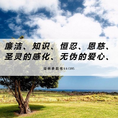 Picture 06 - 哥 林 多 后 书 6:6 CUVS - 廉 洁 、 知 识 、 恒 忍 、 恩 慈 、 - Bible Verse Picture