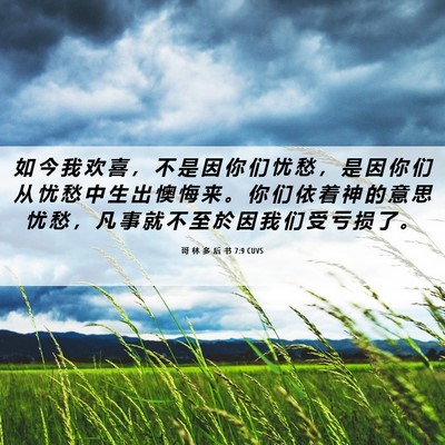 Picture 06 - 哥 林 多 后 书 7:9 CUVS - 如 今 我 欢 喜 ， 不 是 因 你 们 忧 - Bible Verse Picture