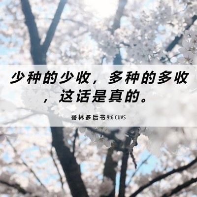 Picture 06 - 哥 林 多 后 书 9:6 CUVS - 少 种 的 少 收 ， 多 种 的 多 收 ， - Bible Verse Picture