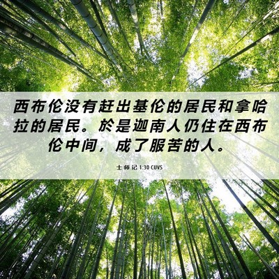 Picture 06 - 士 师 记 1:30 CUVS - 西 布 伦 没 有 赶 出 基 伦 的 居 民 - Bible Verse Picture