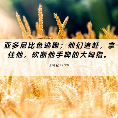 Picture 06 - 士 师 记 1:6 CUVS - 亚 多 尼 比 色 逃 跑 ； 他 们 追 赶 - Bible Verse Picture