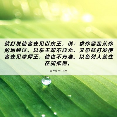 Picture 06 - 士 师 记 11:17 CUVS - 就 打 发 使 者 去 见 以 东 王 ， 说 - Bible Verse Picture