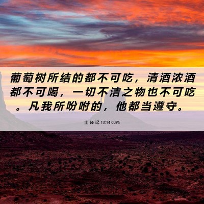 Picture 06 - 士 师 记 13:14 CUVS - 葡 萄 树 所 结 的 都 不 可 吃 ， 清 - Bible Verse Picture