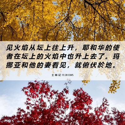 Picture 06 - 士 师 记 13:20 CUVS - 见 火 焰 从 坛 上 往 上 升 ， 耶 和 - Bible Verse Picture