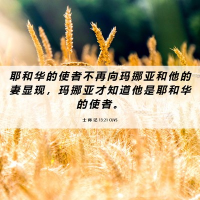 Picture 06 - 士 师 记 13:21 CUVS - 耶 和 华 的 使 者 不 再 向 玛 挪 亚 - Bible Verse Picture