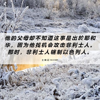 Picture 06 - 士 师 记 14:4 CUVS - 他 的 父 母 却 不 知 道 这 事 是 出 - Bible Verse Picture