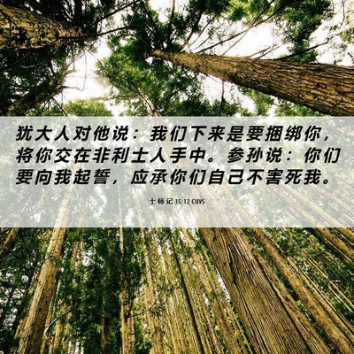 Picture 06 - 士 师 记 15:12 CUVS - 犹 大 人 对 他 说 ： 我 们 下 来 是 - Bible Verse Picture