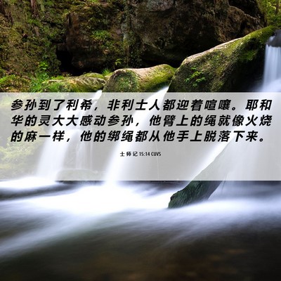Picture 06 - 士 师 记 15:14 CUVS - 参 孙 到 了 利 希 ， 非 利 士 人 都 - Bible Verse Picture