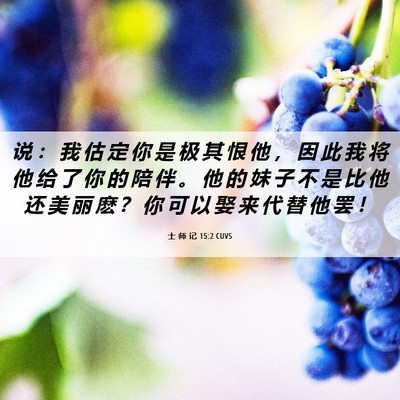 Picture 06 - 士 师 记 15:2 CUVS - 说 ： 我 估 定 你 是 极 其 恨 他 ， - Bible Verse Picture