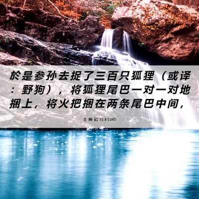 Picture 06 - 士 师 记 15:4 CUVS - 於 是 参 孙 去 捉 了 三 百 只 狐 狸 - Bible Verse Picture