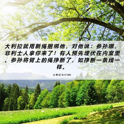 Picture 06 - 士 师 记 16:12 CUVS - 大 利 拉 就 用 新 绳 捆 绑 他 ， 对 - Bible Verse Picture