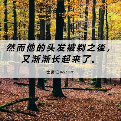 Picture 06 - 士 师 记 16:22 CUVS - 然 而 他 的 头 发 被 剃 之 後 ， 又 - Bible Verse Picture
