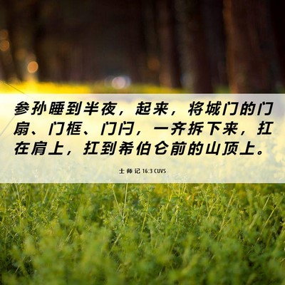 Picture 06 - 士 师 记 16:3 CUVS - 参 孙 睡 到 半 夜 ， 起 来 ， 将 城 - Bible Verse Picture