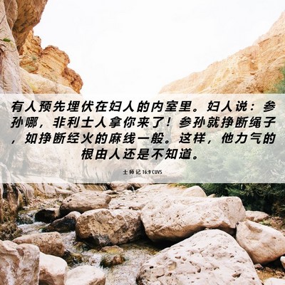 Picture 06 - 士 师 记 16:9 CUVS - 有 人 预 先 埋 伏 在 妇 人 的 内 室 - Bible Verse Picture
