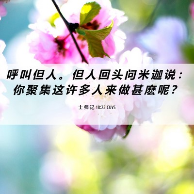 Picture 06 - 士 师 记 18:23 CUVS - 呼 叫 但 人 。 但 人 回 头 问 米 迦 - Bible Verse Picture