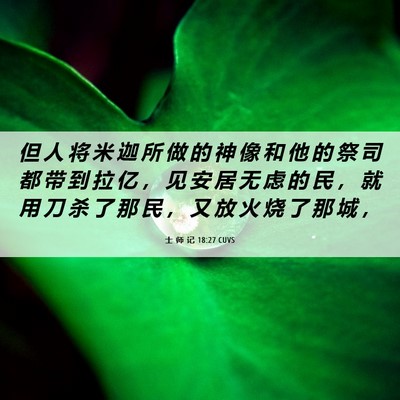Picture 06 - 士 师 记 18:27 CUVS - 但 人 将 米 迦 所 做 的 神 像 和 他 - Bible Verse Picture