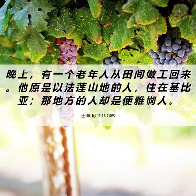 Picture 06 - 士 师 记 19:16 CUVS - 晚 上 ， 有 一 个 老 年 人 从 田 间 - Bible Verse Picture