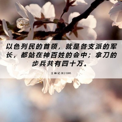 Picture 06 - 士 师 记 20:2 CUVS - 以 色 列 民 的 首 领 ， 就 是 各 支 - Bible Verse Picture