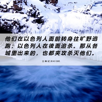 Picture 06 - 士 师 记 20:42 CUVS - 他 们 在 以 色 列 人 面 前 转 身 往 - Bible Verse Picture