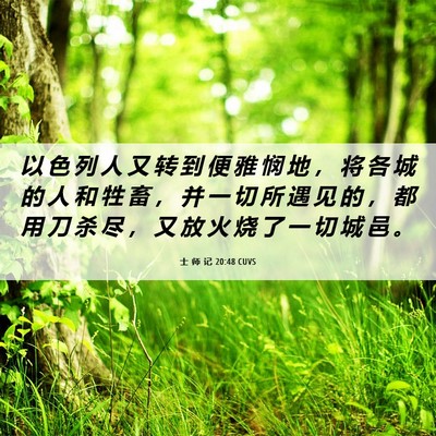Picture 06 - 士 师 记 20:48 CUVS - 以 色 列 人 又 转 到 便 雅 悯 地 ， - Bible Verse Picture