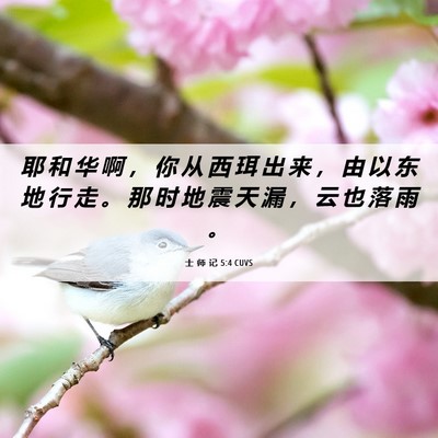 Picture 06 - 士 师 记 5:4 CUVS - 耶 和 华 啊 ， 你 从 西 珥 出 来 ， - Bible Verse Picture