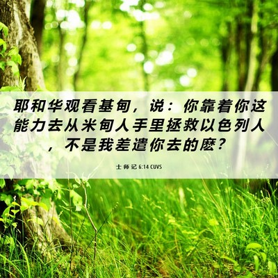 Picture 06 - 士 师 记 6:14 CUVS - 耶 和 华 观 看 基 甸 ， 说 ： 你 靠 - Bible Verse Picture