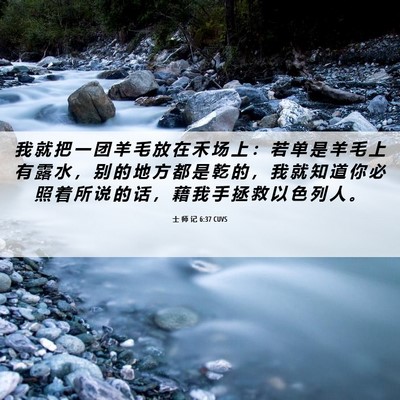 Picture 06 - 士 师 记 6:37 CUVS - 我 就 把 一 团 羊 毛 放 在 禾 场 上 - Bible Verse Picture
