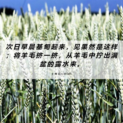 Picture 06 - 士 师 记 6:38 CUVS - 次 日 早 晨 基 甸 起 来 ， 见 果 然 - Bible Verse Picture