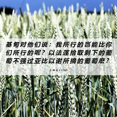 Picture 06 - 士 师 记 8:2 CUVS - 基 甸 对 他 们 说 ： 我 所 行 的 岂 - Bible Verse Picture