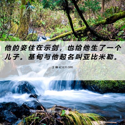 Picture 06 - 士 师 记 8:31 CUVS - 他 的 妾 住 在 示 剑 ， 也 给 他 生 - Bible Verse Picture
