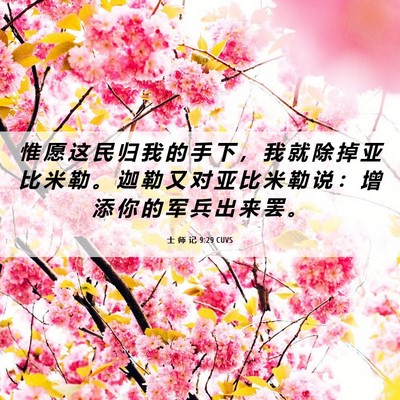Picture 06 - 士 师 记 9:29 CUVS - 惟 愿 这 民 归 我 的 手 下 ， 我 就 - Bible Verse Picture