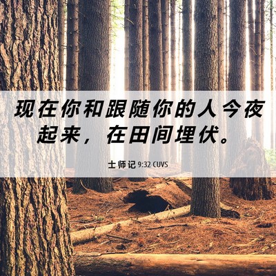 Picture 06 - 士 师 记 9:32 CUVS - 现 在 你 和 跟 随 你 的 人 今 夜 起 - Bible Verse Picture