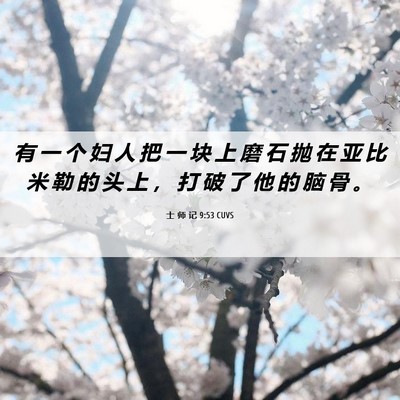Picture 06 - 士 师 记 9:53 CUVS - 有 一 个 妇 人 把 一 块 上 磨 石 抛 - Bible Verse Picture
