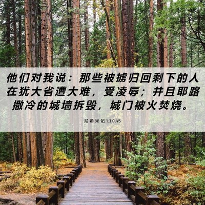Picture 06 - 尼 希 米 记 1:3 CUVS - 他 们 对 我 说 ： 那 些 被 掳 归 回 - Bible Verse Picture
